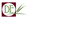 Descanso Electrolysis logo